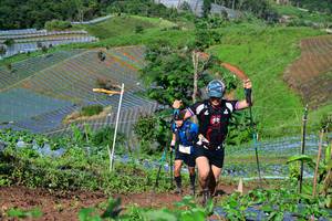 BIB: 
                            <button type="button" onclick="openModal(13379242)" class="btn btn-primary btn-sm float-right btn-popup" data-toggle="modal" data-target=".modal-high-quality">
                        <i class="fas fa-shopping-cart"></i> Add to Cart
                    </button>
                                            <button type="button" onclick="isThisMe(13379242, true)" class="btn btn-success btn-sm float-right btn-popup btn-isme hidden" data-toggle="tooltip" data-placement="bottom" title="นี่คือรูปของคุณใช่ไหม คลิกที่นี่เพื่อเอาเข้าอัลบั้ม">
                        <i class="fas fa-plus"></i> Add to album
                    </button>
                    <button type="button" onclick="isThisMe(13379242, false)" class="btn btn-warning btn-sm float-right btn-popup btn-isnotme hidden">
                        <i class="fas fa-ban"></i> Remove from album
                    </button>